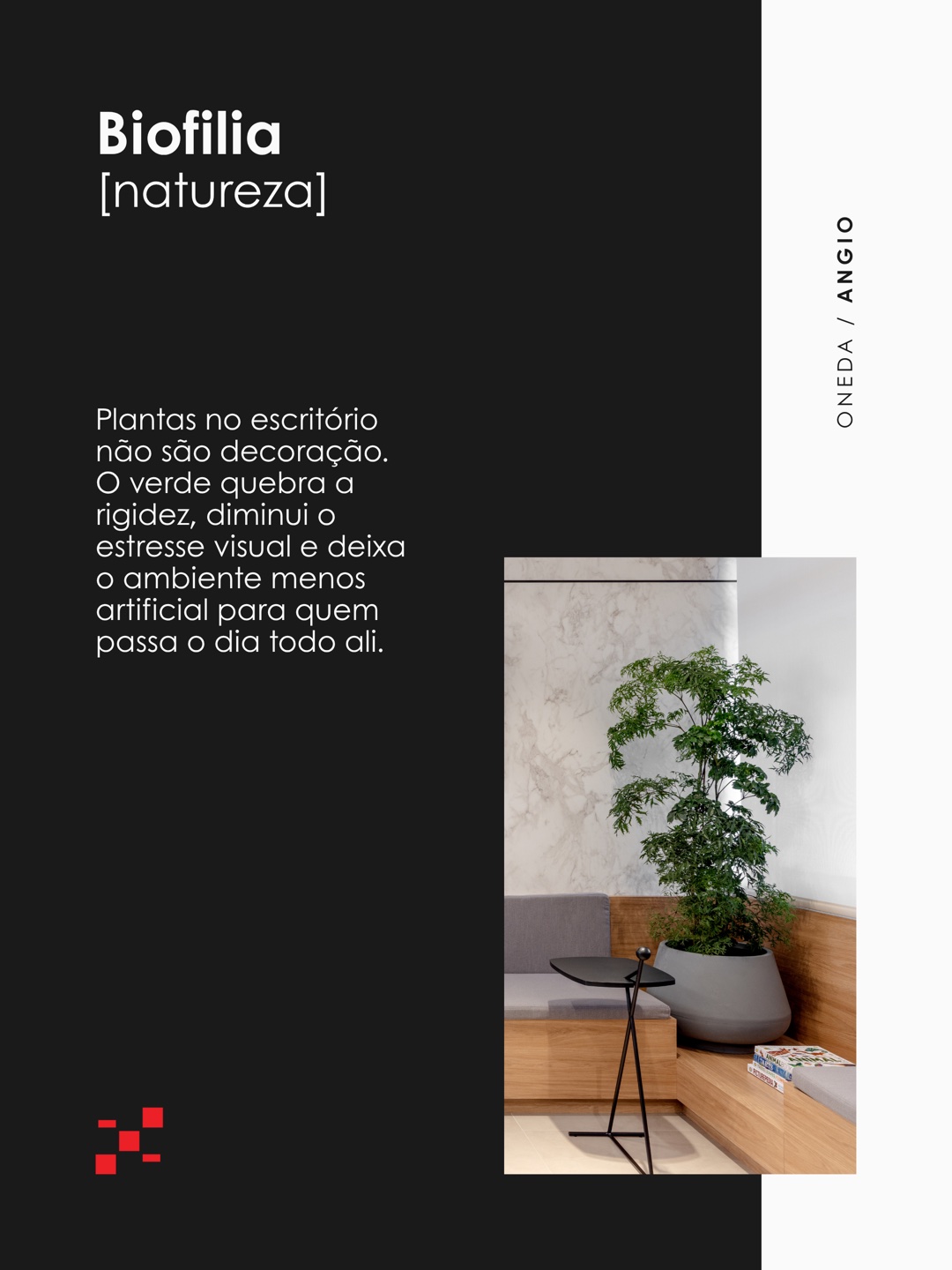 Biofilia, natureza: plantas no escritório tornam o ambiente menos artificial para quem passa o dia ali. Oneda e Angio.